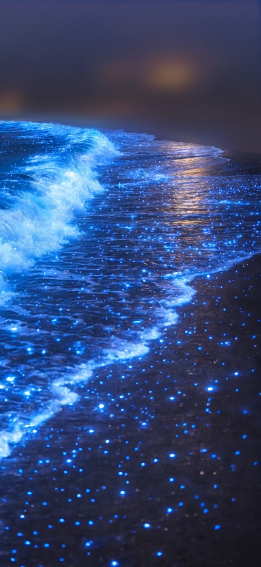 Glowing blue waves washing onto a dark shoreline